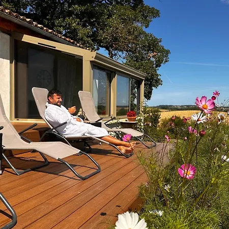 Domaine Lea Chanflaur - - Le Moulin De La Jalousie Feriehus Terraube