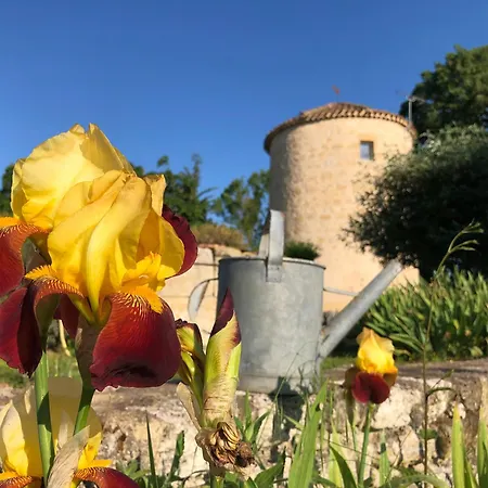 Prázdninový dům Domaine Lea Chanflaur - - Le Moulin De La Jalousie Terraube