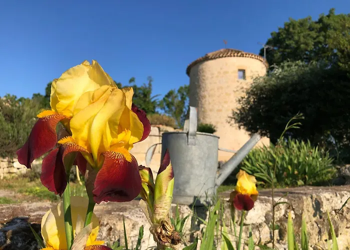 Ferienhaus Domaine Lea Chanflaur - - Le Moulin De La Jalousie Terraube